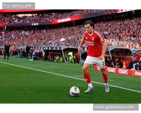 坎塞洛:从边缘球员到世界顶级后卫的华丽蜕变与足球生涯回顾 坎塞洛:从边缘球员到世界顶级后卫的华丽蜕变与足球生涯回顾