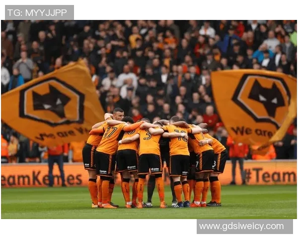 狼队与曼城精彩对决回放分析及比赛亮点总结