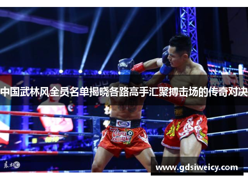 中国武林风全员名单揭晓各路高手汇聚搏击场的传奇对决