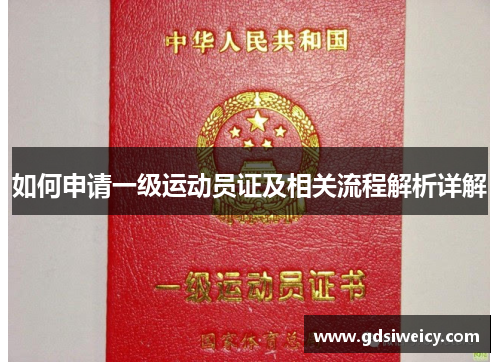 如何申请一级运动员证及相关流程解析详解