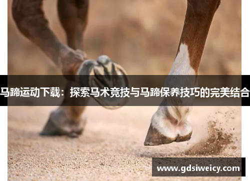 马蹄运动下载：探索马术竞技与马蹄保养技巧的完美结合